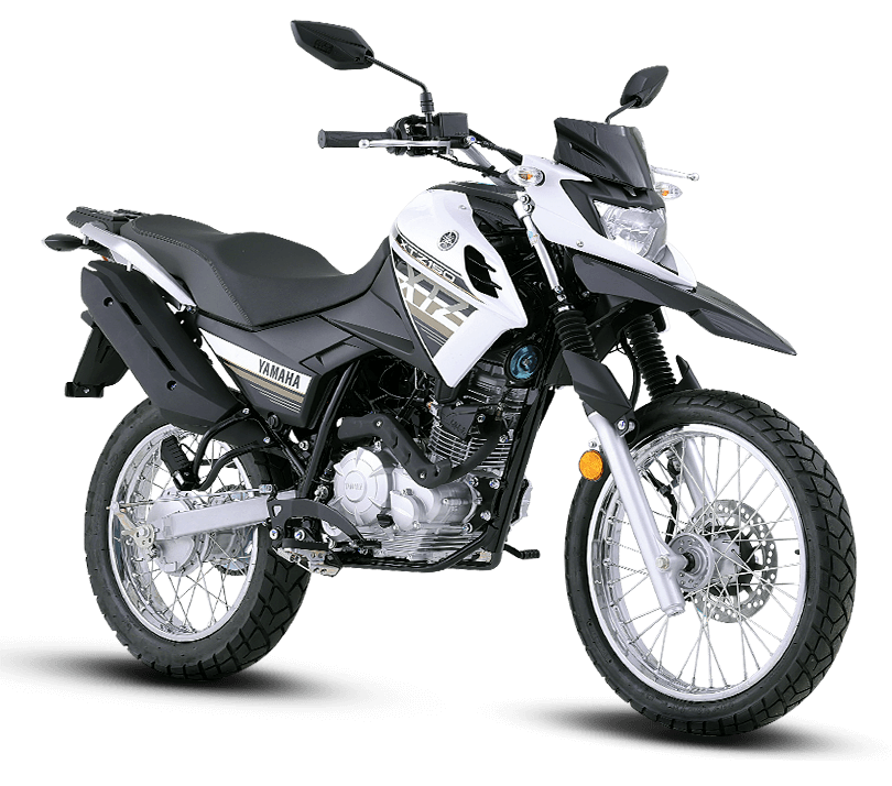 xtz1502024_blanca